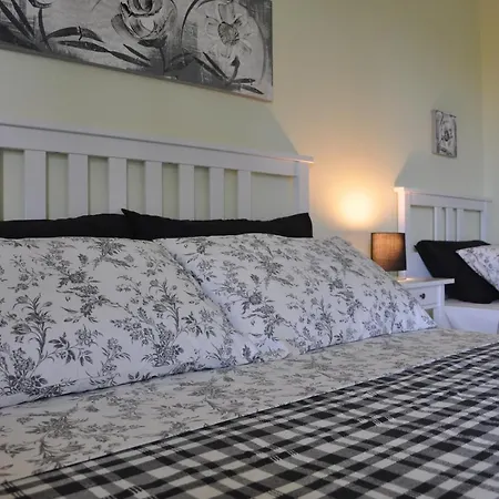 Albero Del Miglio Торре-а-Маре