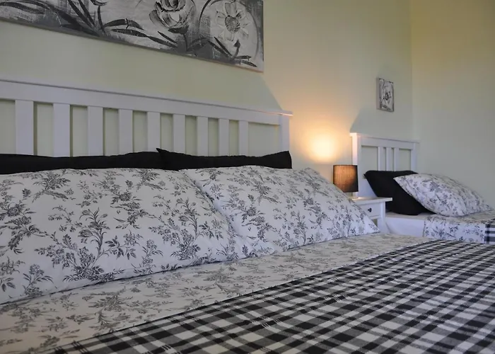 Albero Del Miglio Torre A Mare